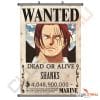 Shanks