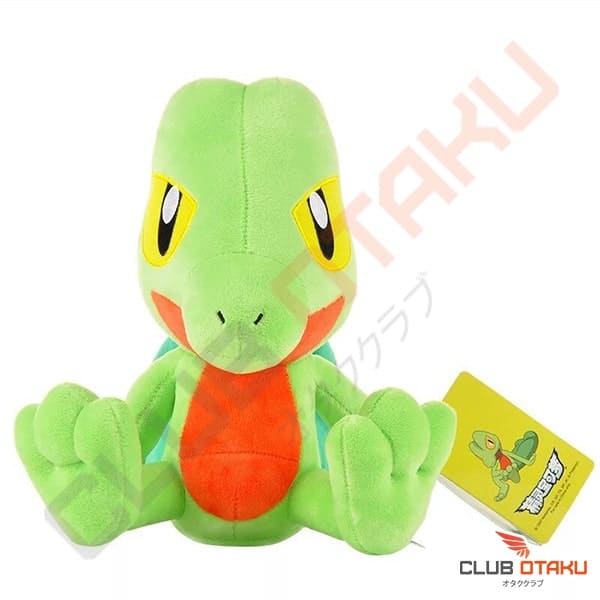 Accessoire Pokémon peluche pour enfant pokemon - arko - 24 cm