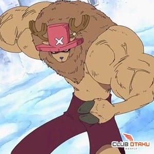 one-piece tony-tony chopper-arm point