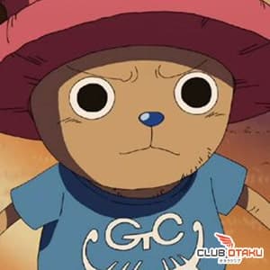 one-piece tony-tony chopper-brain point