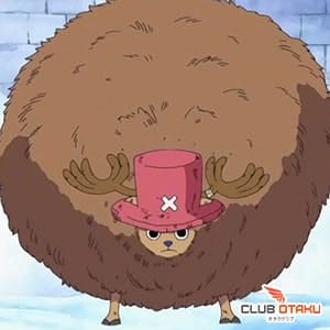 one-piece tony-tony chopper-guard point