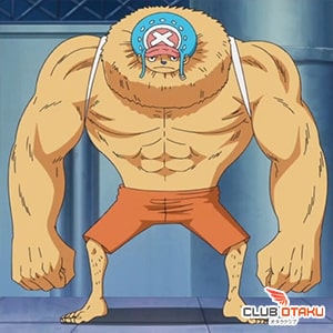 one-piece tony-tony chopper-heavy point