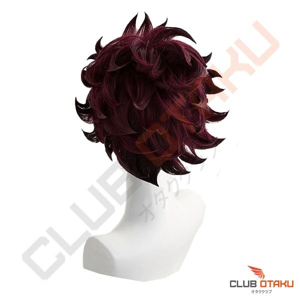 cosplay demon slayer - perruque wig tanjiro (4)